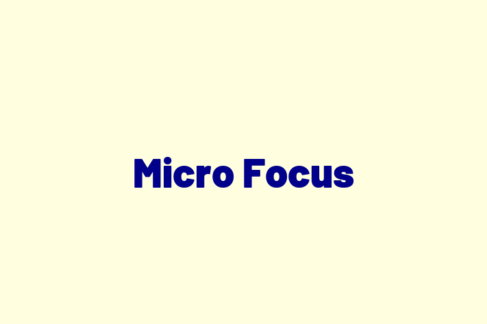 Application Development Company Micro Focus