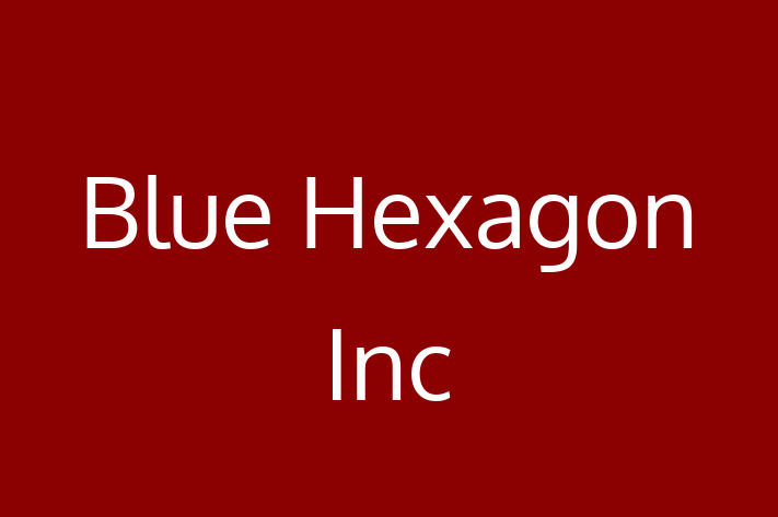 Application Development Company Blue Hexagon Inc