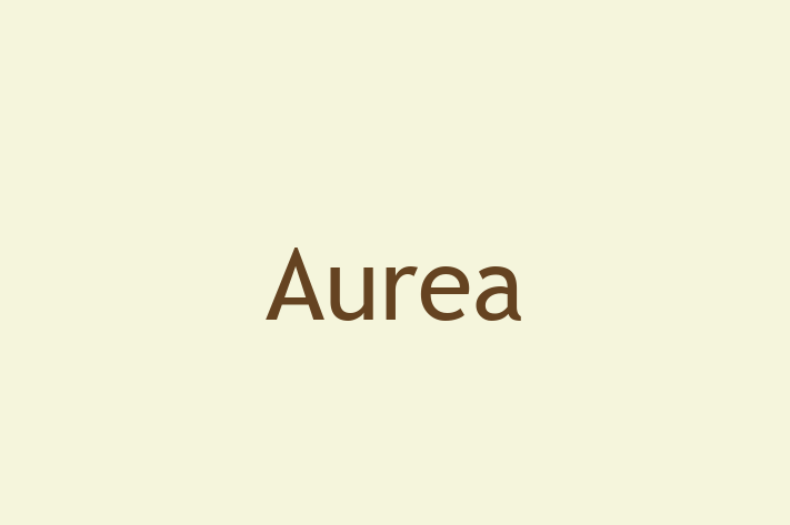 Software Firm Aurea