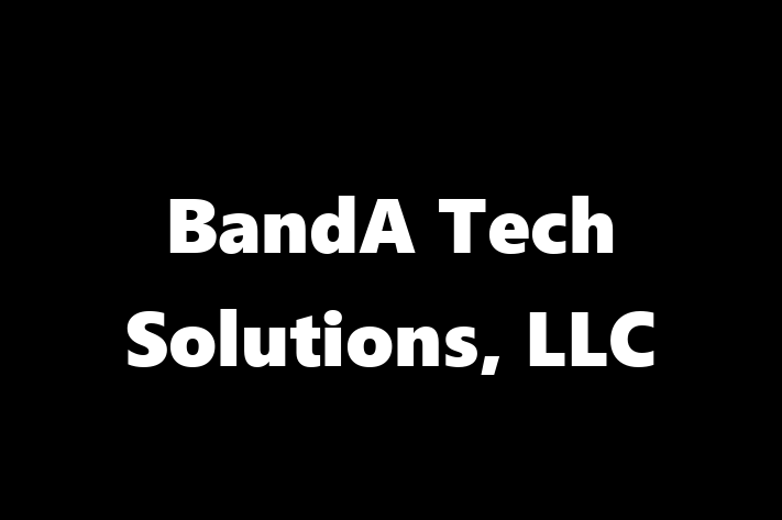 Software Solutions Provider BandA Tech Solutions LLC