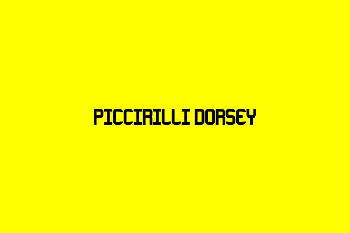 Digital Solutions Provider Piccirilli Dorsey