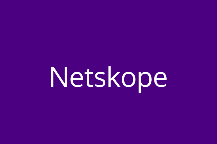 Software Consultancy Netskope