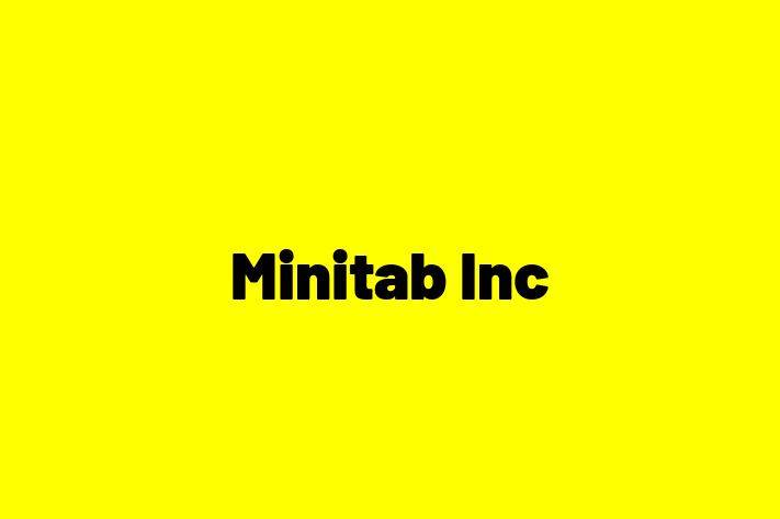 Software Consultancy Minitab Inc