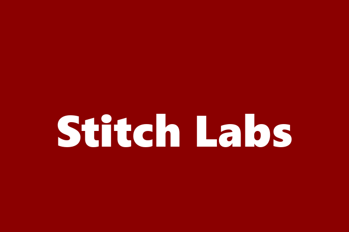 Tech Solutions Company Stitch Labs