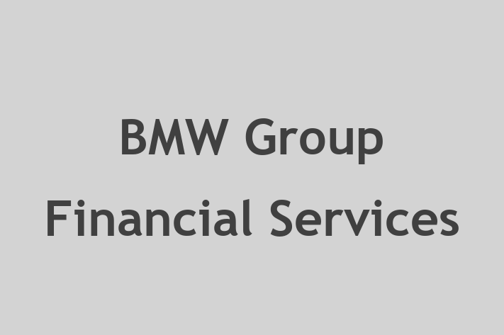 Personnel Management BMW Group Financial Services