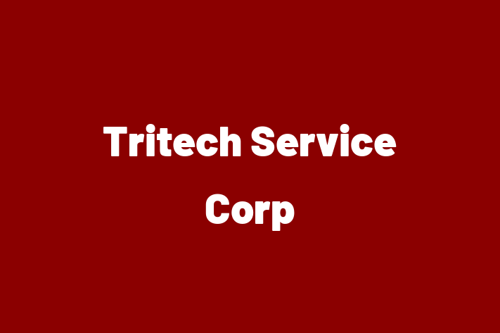 Software Engineering Company Tritech Service Corp