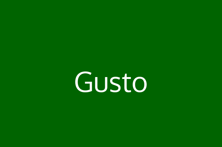 Technology Company Gusto