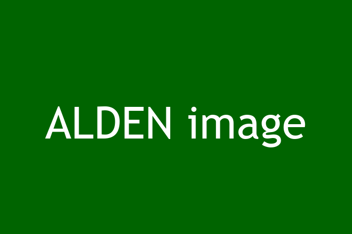 Application Development Company ALDEN image