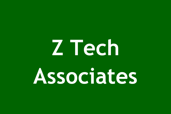 Software Consultancy Z Tech Associates