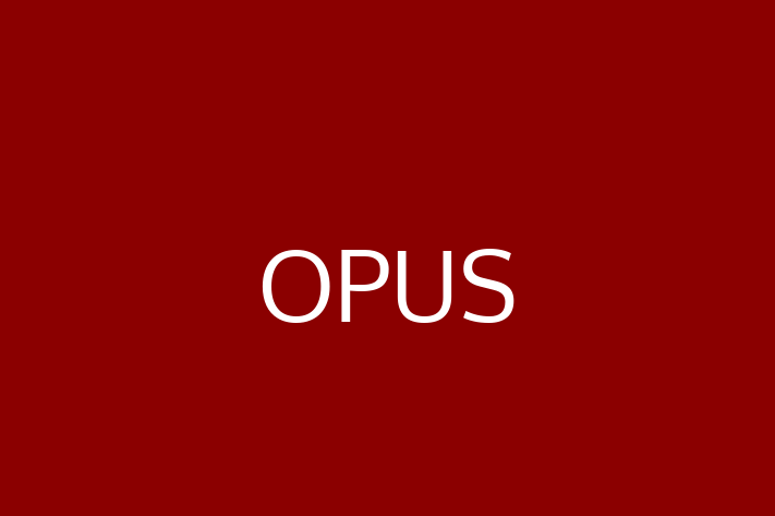 Tech Solutions Company OPUS