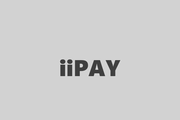 IT Company iiPAY