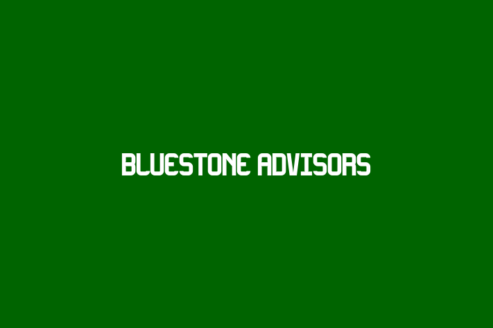 HR Administration BlueStone Advisors