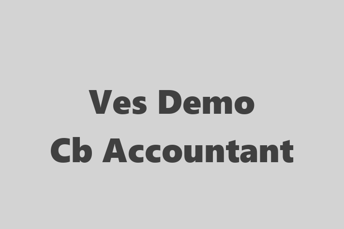 Certified Accountant Ves Demo Cb Accountant