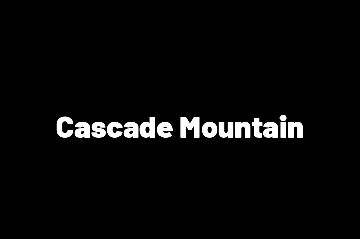 Software Consultancy Cascade Mountain