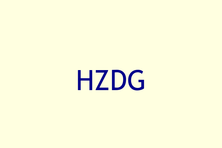 Software Consultancy HZDG