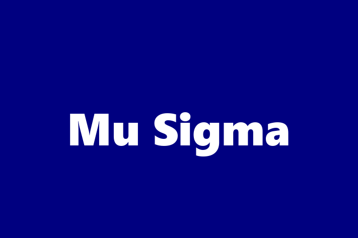 Software Engineering Company Mu Sigma