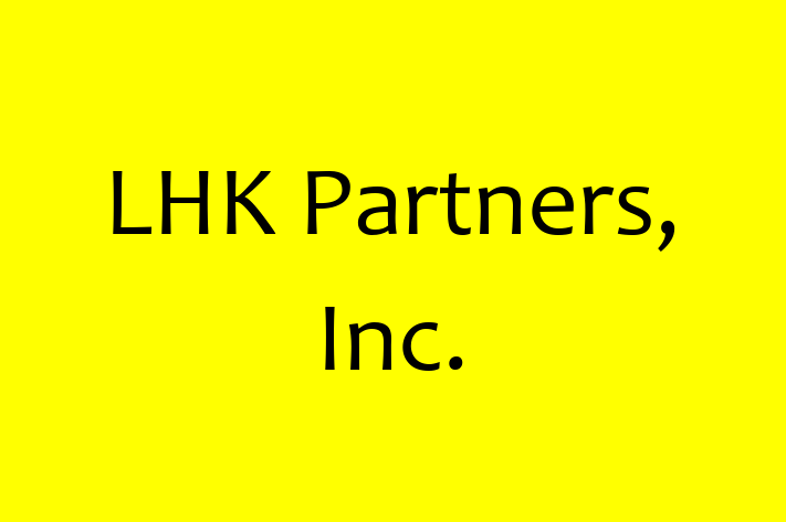 Technology Solutions Firm LHK Partners Inc.