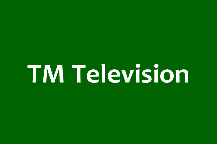 IT Company TM Television