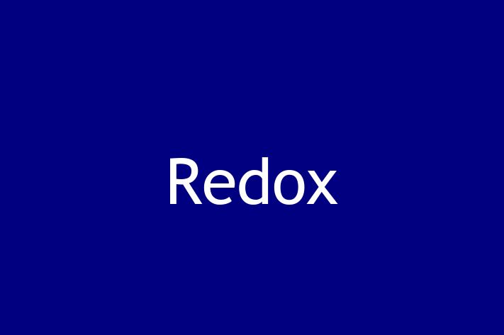 Software Solutions Provider Redox