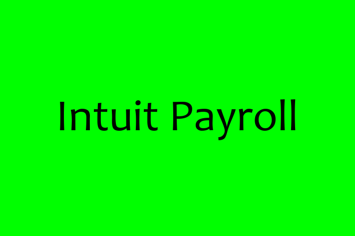 Software Services Company Intuit Payroll