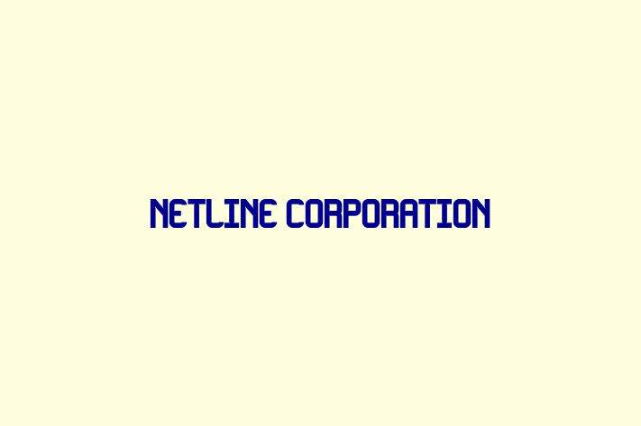 Technology Company NetLine Corporation