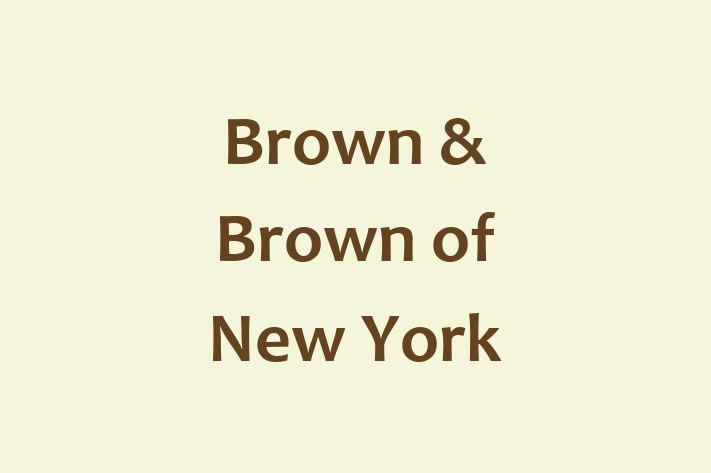 Staff Management Brown Brown of New York