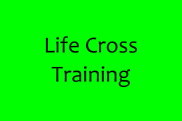 Software Services Company Life Cross Training