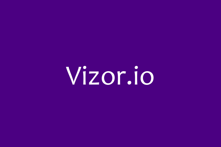 Software Consultancy Vizor.io