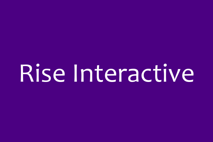 Tech Firm Rise Interactive