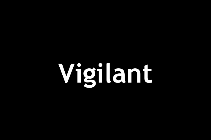 Human Resource Management Vigilant