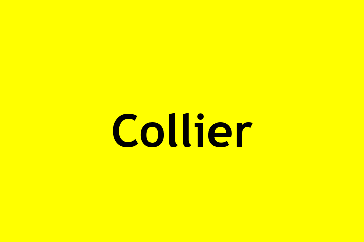 Employee Resource Management Collier