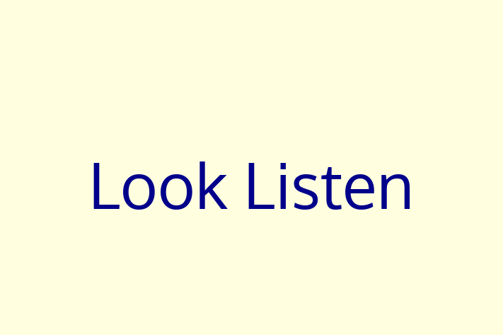 Software Engineering Company Look Listen