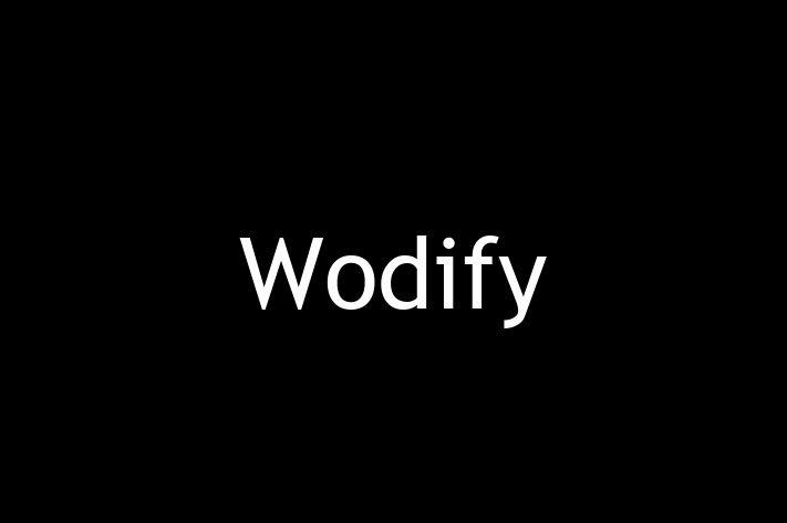 IT Company Wodify