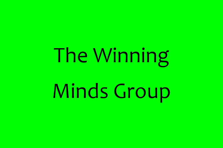 Software Development Company The Winning Minds Group