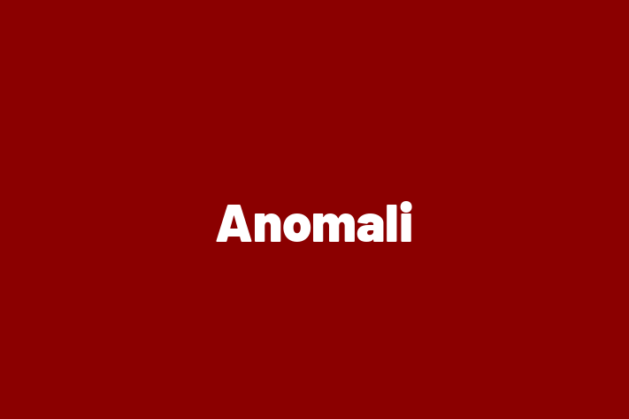 Technology Company Anomali