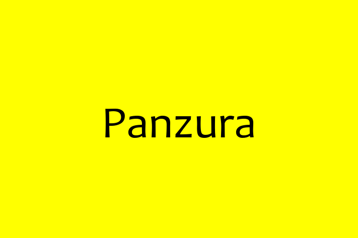 Software Engineering Company Panzura