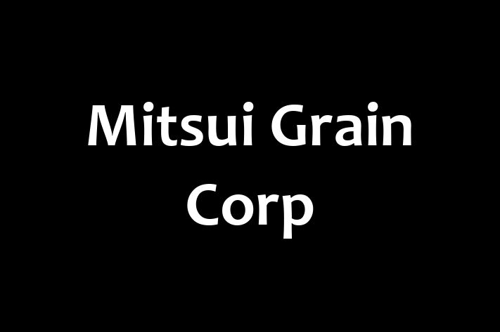 Software Engineering Company Mitsui Grain Corp