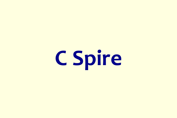 Software Consultancy C Spire