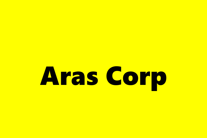 Software Development Company Aras Corp