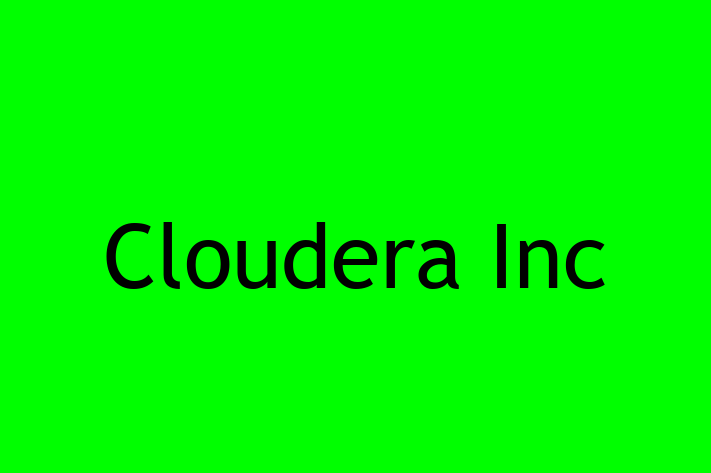 Software Solutions Provider Cloudera Inc