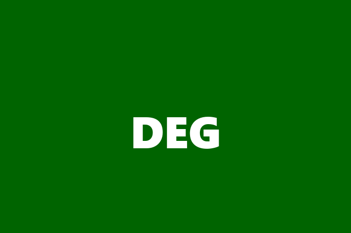 Technology Company DEG