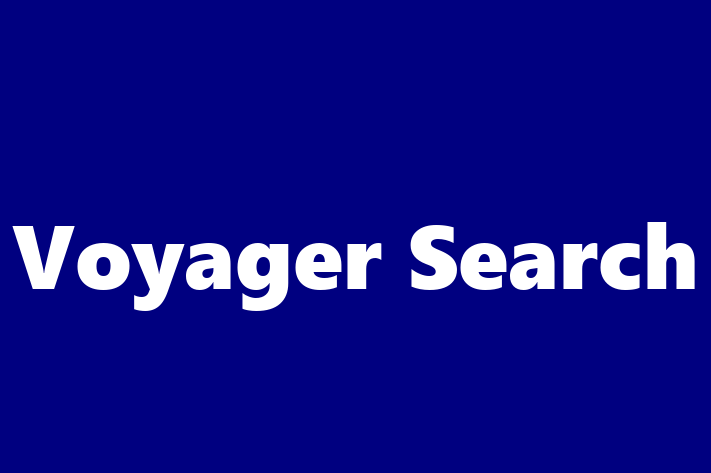 Tech Firm Voyager Search