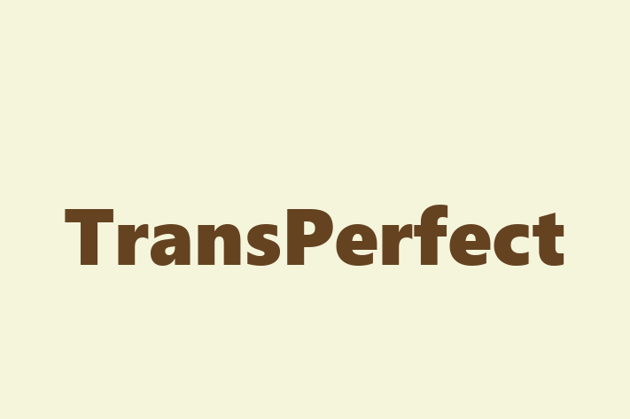 Tech Solutions Company TransPerfect