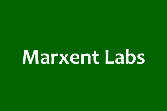 Software Engineering Company Marxent Labs