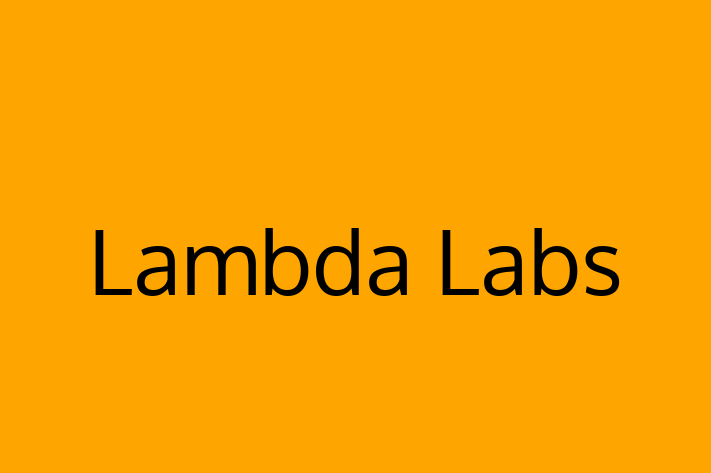 Software Development Firm Lambda Labs