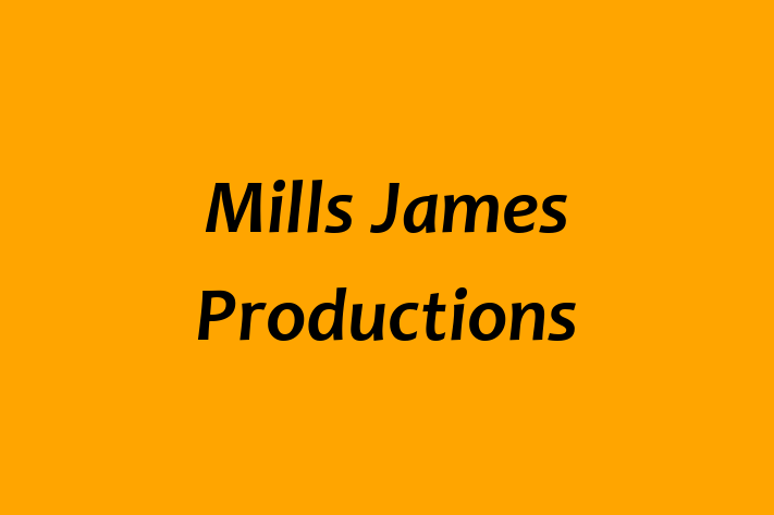 Tech Solutions Company Mills James Productions