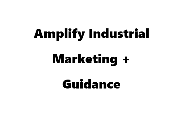 Software Solutions Provider Amplify Industrial Marketing + Guidance