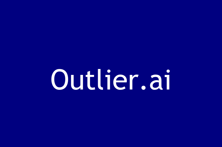 Application Development Company Outlier.ai