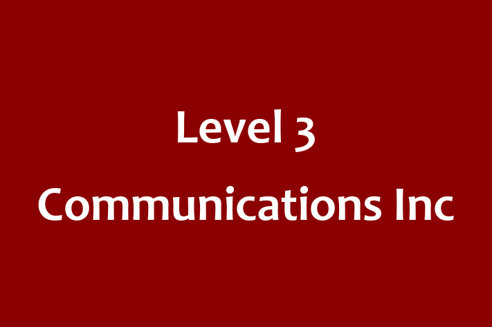 Digital Solutions Provider Level 3 Communications Inc