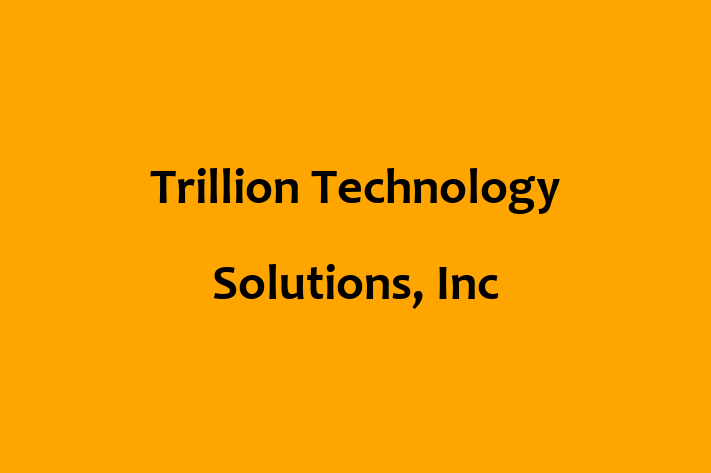 Technology Solutions Firm Trillion Technology Solutions Inc